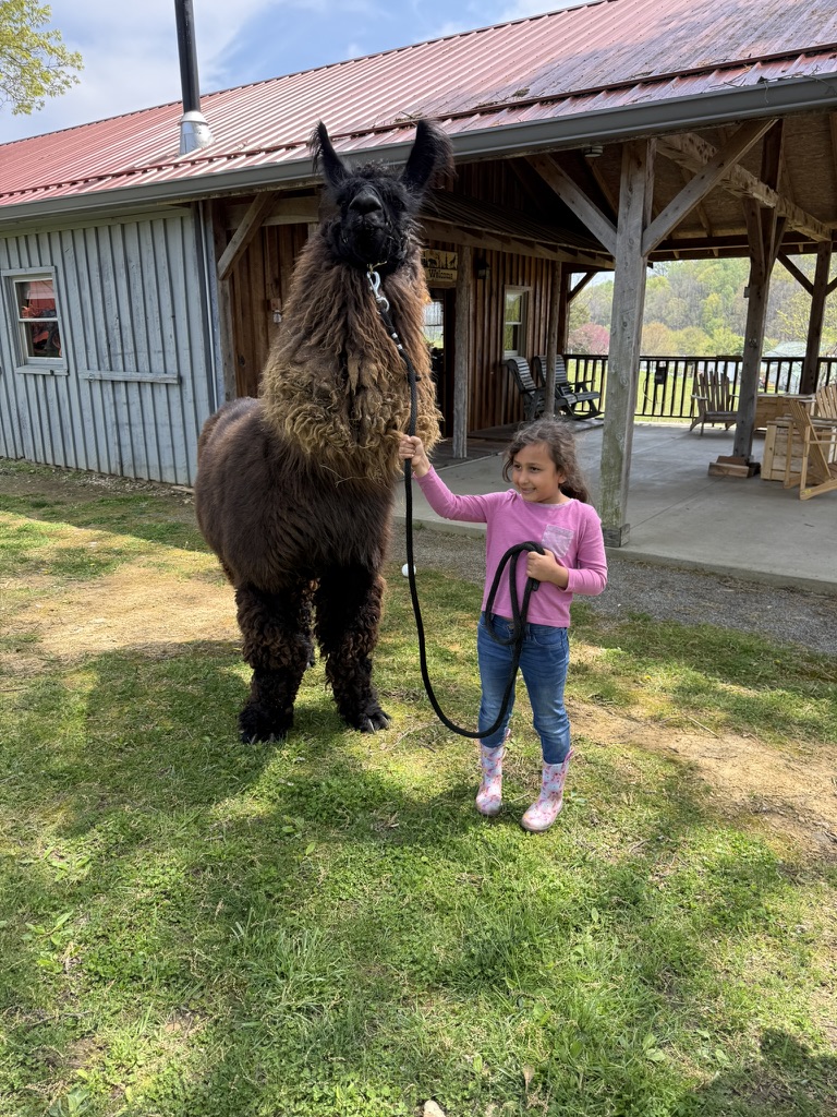 23827974 18E6 4904 942F 6014905B02E6 1 105 c