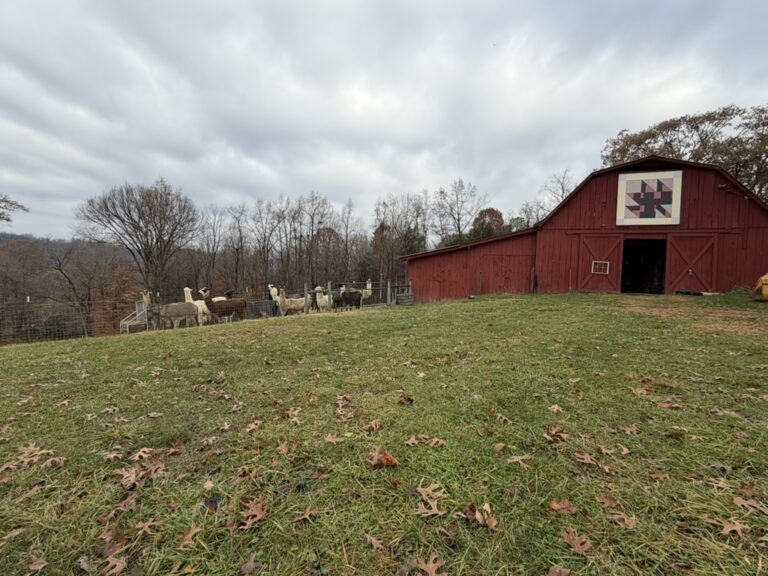 238D8C7B 8527 49AF AE61 50EE9D738F1A 1 105 c