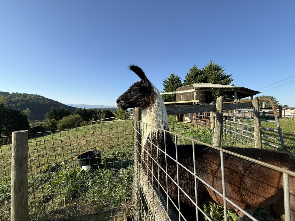 E637E113 5DD7 4A5D 9DF9 4755508E5148 1 105 c