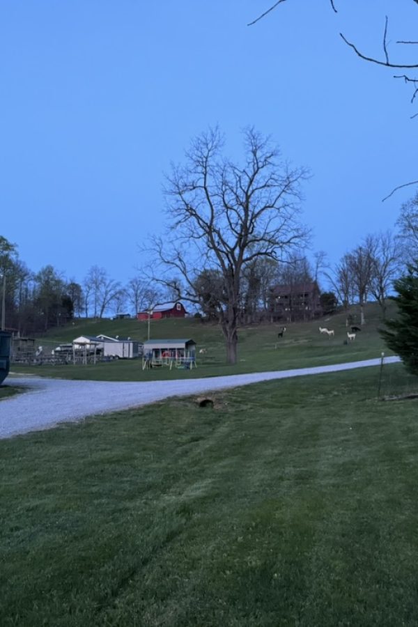 E5CC24BB 7349 45C0 8F54 3F98B7812928 1 105 c