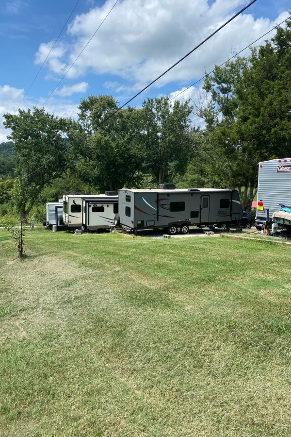 image 123923953 scaled