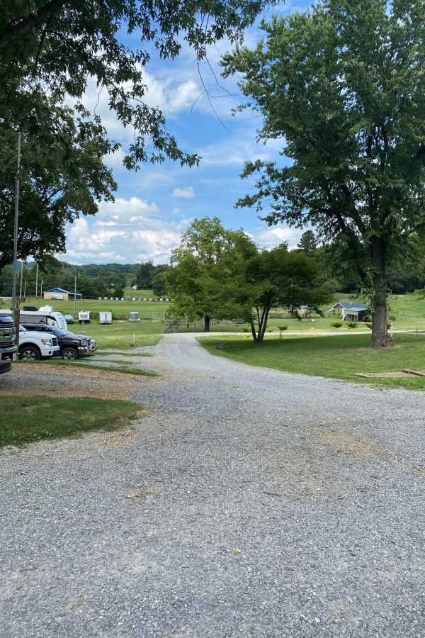 image 1239239536 scaled