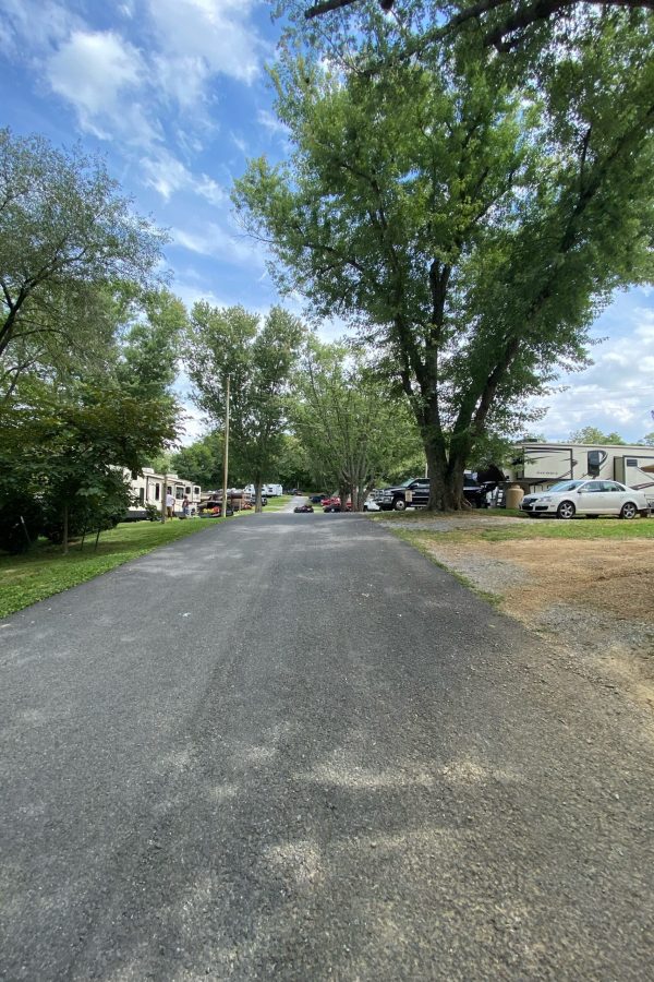 image 1239239537 scaled