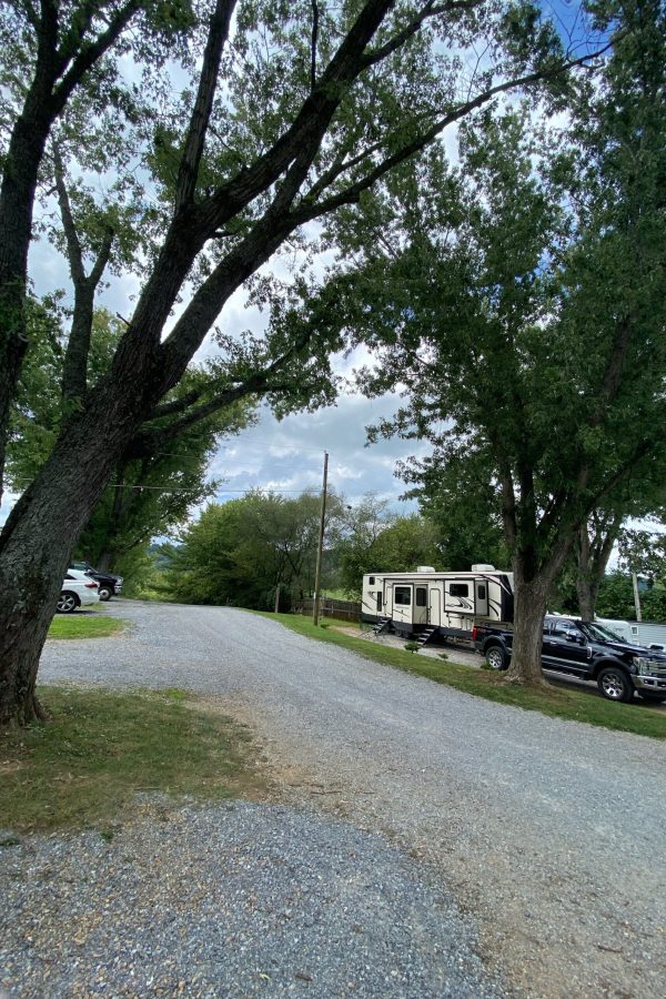 image 1239239539 scaled